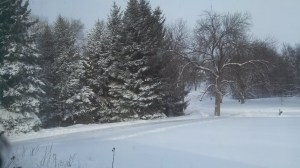 IMG_20140205_093500_796