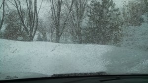 IMG_20140305_080217_876