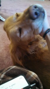 IMG_20140314_102449_588