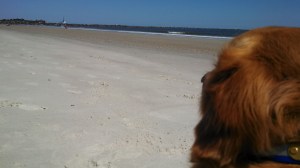 IMG_20140314_140244_050