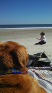 IMG_20140314_142739_095