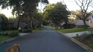 IMG_20140314_191017_231