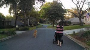 IMG_20140314_191022_268