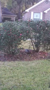 IMG_20140316_081234_912