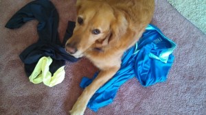 IMG_20140316_151722_749[1]