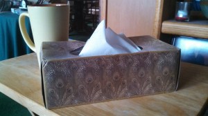 IMG_20140407_153216_324